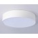 LED LED ceiling Ambrella Orbital Air Alum FV5524, 35W, LED, white color