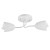 2 lamps