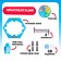 The board game for the logic "Save the Penguin", 2-4 players, 3+