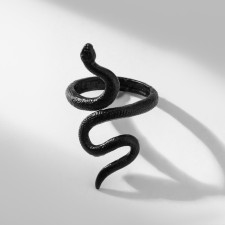The ring 