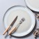 ARYA Home Terra Cotta, D = 27 cm, 4 pcs, Mint color
