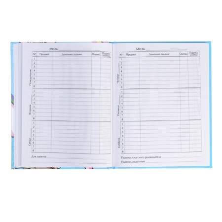 Diary for grades 1-4, "friends", a solid cover 7BC, glossy lamination, 48 sheets-4