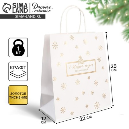 Gift Crafts “Let everything come true”, 22 x 25 x 12 cm, New Year