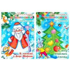 A collection of New Year's coloring. 2-book set