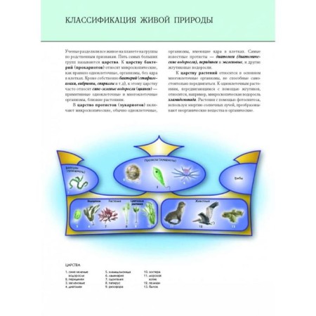 Undersea world. Complete encyclopedia. Schoolboy Yu.K.-9
