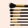 A set of makeup brushes, 7 objects, a lightning cover, black color