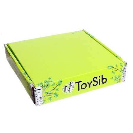 Magnetic game "Tortics"-6