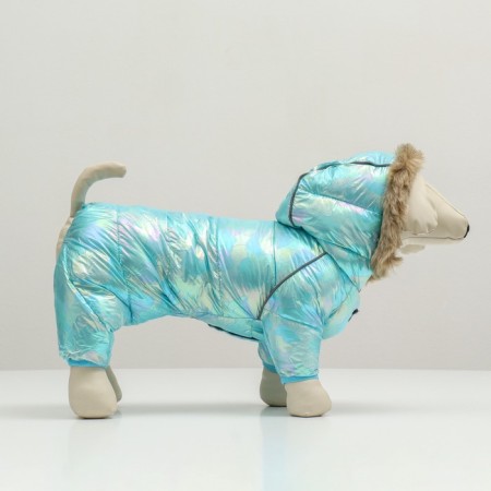 Combine "gloss", size 10 (DS 25, OG 34, Osh 24), blue-1