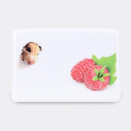 Cover for travel ticket, white color