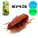Taracan bug, works from batteries