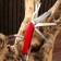 Swiss knife "Master K" 13V1, red
