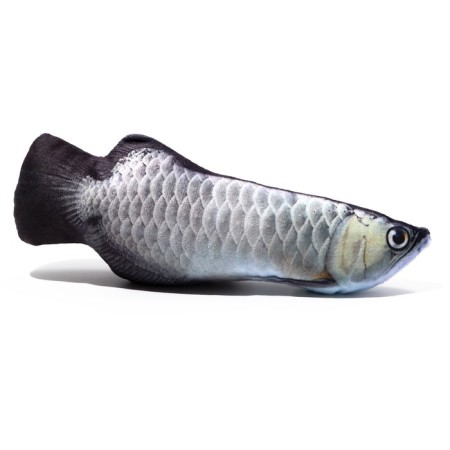 Toy "Fish of my dreams!" with cat mint, arapayma, 20 cm-1