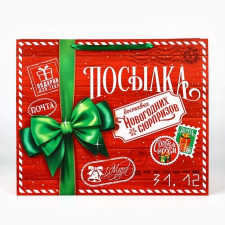 Package Gift New Year Laminated "New Year's Park", XL 49 x 40 x 19 cm, New Year-1
