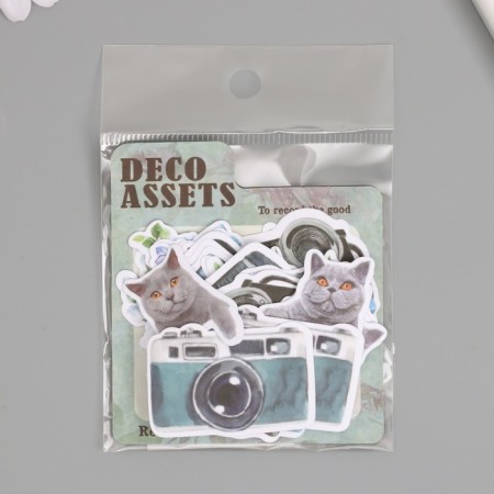 Stickers for creativity "Cats, blue flowers and photos" 3.5x5 cm set 40 pcs 9.4x8.4x0.5 cm-4