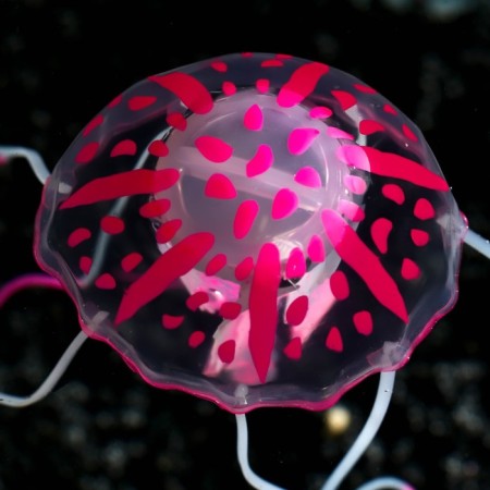 Decor for the Aquarium "Medusa" silicone, with a neon effect, 5 x 5 x 15 cm, pink-4