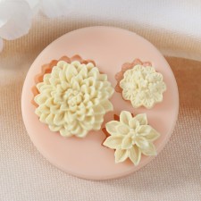 Mold Silicon 