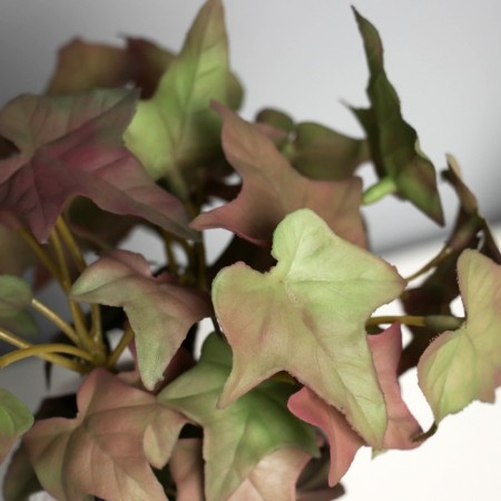 Bonsai in the pot "ivy indoor ultra" (soft sheet) 15x7 cm, mix-1