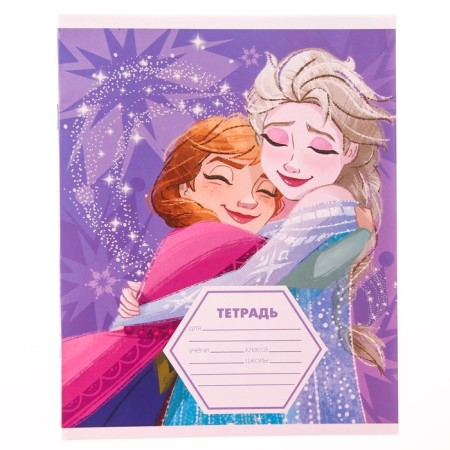 Notebook in a ruler of 12 sheets, 4 types of mix, cover coated paper, cold heart-6