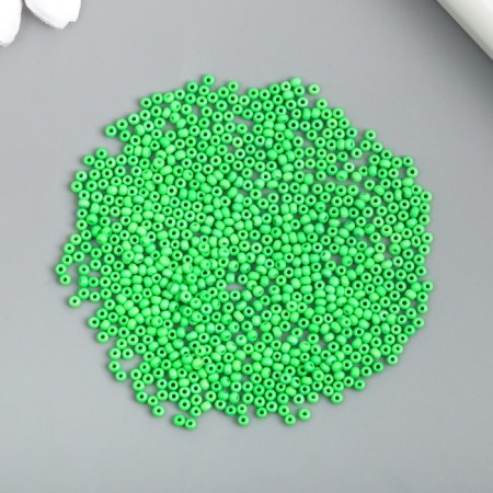 Glass bead 12/0 "grassy" smooth No. 677 450 gr-2