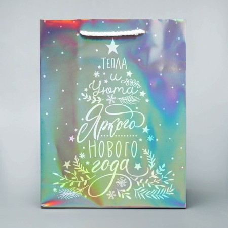 Holographic "heat" package, MS 18 x 23 x 10 cm, New Year-1