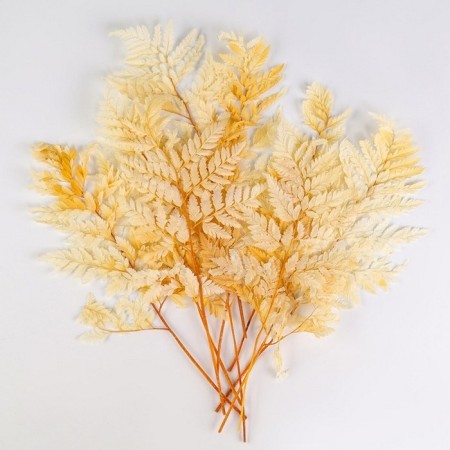 Sukhotzet "Paporotnik", yellow, 10 pcs. packaged-3