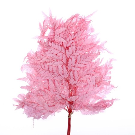 Sukhotzet "Paporotnik", pink, 10 pcs. packaged-3