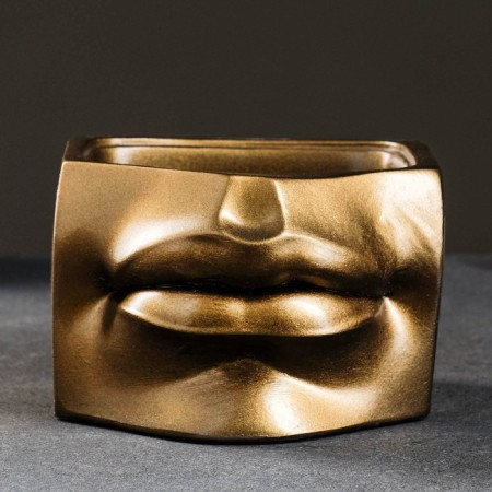 Kashpo - organizer "Lips of David" Bronze, 16x11x15.5cm-4
