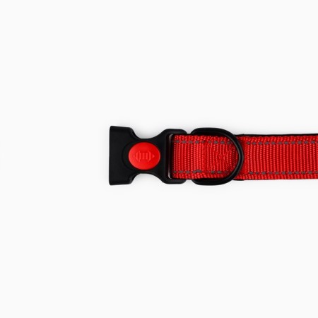 A collar with a nylon lining with a fastx 2.5 cm, a cv red-6