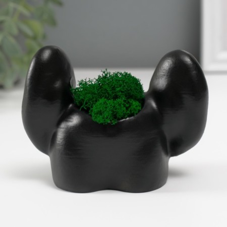Concrete Kashpo "ass with ears" with moss 8x10 cm black (moss green stabilized)-3