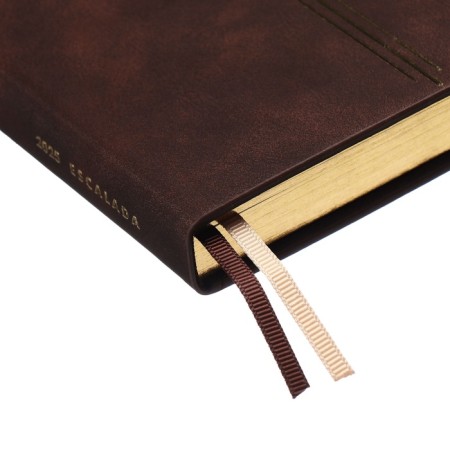 Dated 2025 diary, A5, 176 sheets of Escalada, solid cover of artificial leather, 3D design, foil, liescam embossing, cream block 70 g/m2, brown-4