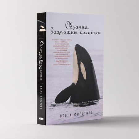 Cloudy, killer whales are possible. Filatova O.-1