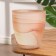 Flower pot with the pallet "Harmony", brown 2 l