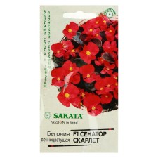 Belonier Flowers 