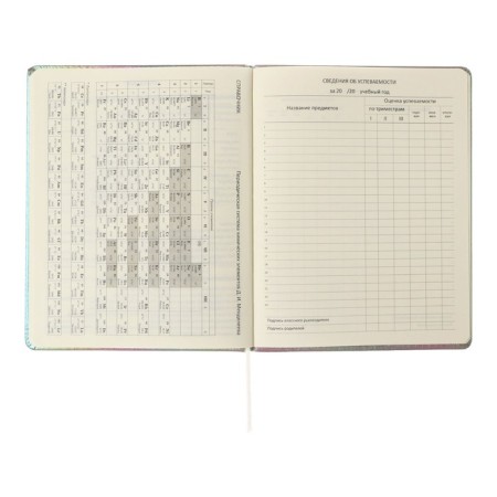 Universal diary for grade 1-11 "Take me such", solid cover, artificial leather, foam rubber, silkography, liesse, 80 g/m2-10
