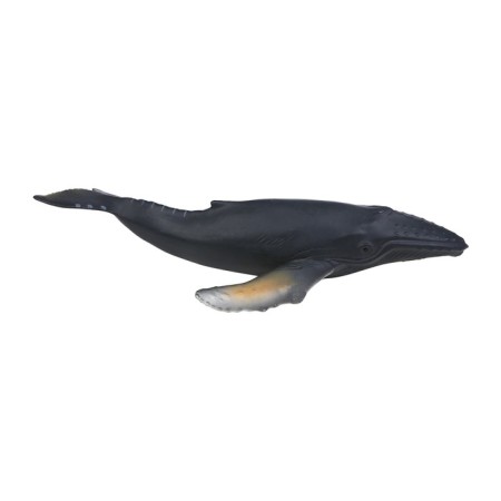 Figure "World of Marine Animals: Kit"-5