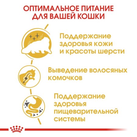 Dry food RC Persian for Persian cats, 2 kg-3