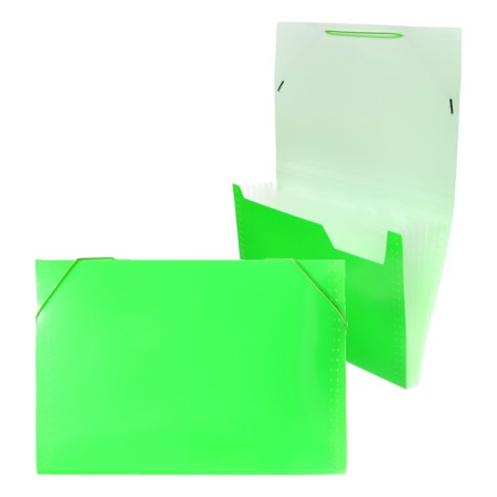 Folder Carder Calligrata Neon 6 department. A4 plastic 0.7mm light green. Cut in color