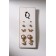 Classes 5 pairs "Assorted" Bunny, white color in gold