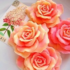 Silicone form for soap 