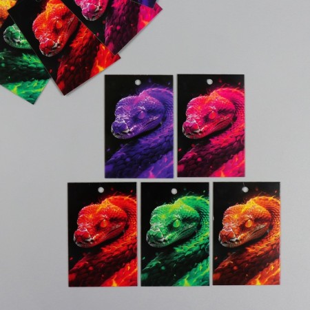 Cardboard "Fiery Snake" set 10 pcs (5 types) 4x6 cm