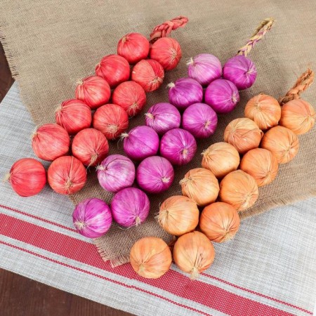 Flood "Link of onions" 12 bulbs, mix-2