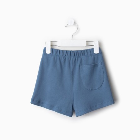 Kidsa (sweatshirt, shorts) minku, blue color, height 116 cm-12