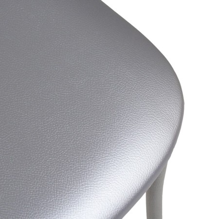 Vienna 2 chair, silver metallic/metallic-1