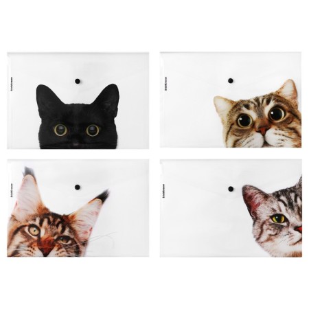 A4 button, 160 μm, Erichkrause "Hiding Cats", translucent, mix, mix