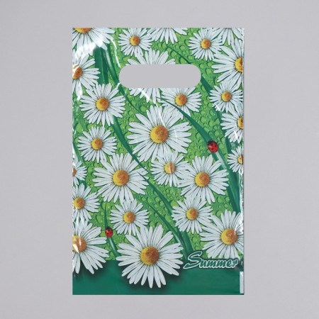 Summer Package, polyethylene with a cut pen, 30 μm, 20 x 30 cm