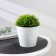 Kashpo with a drainage insert "Manhattan", 1 l, d = 12.5 cm, snow -white color