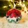 Ball "bullfinch" 9.5 cm mix