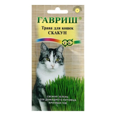 Seeds of grass for cats "Glasses", 10 g