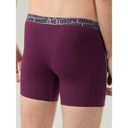 Men's panties, size 50, blueberry color-1