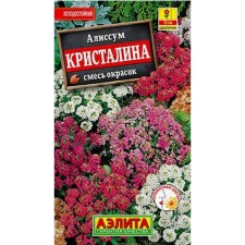 Alissum seeds 